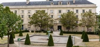 rea ministère enseignement supérieur