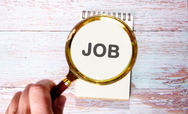 La licence professionnelle est plus efficace que le master pour obtenir un emploi.