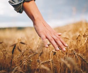 Pour quel métier de l’agriculture es-tu fait(e) ?